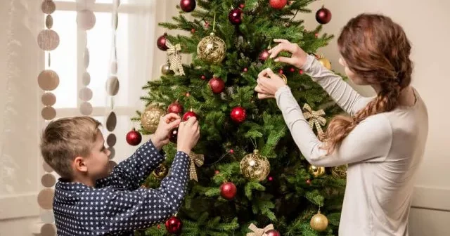 Yeni il yolka ları barədə ciddi xəbərdarlıq Evə gətirdiyimiz təhlükə