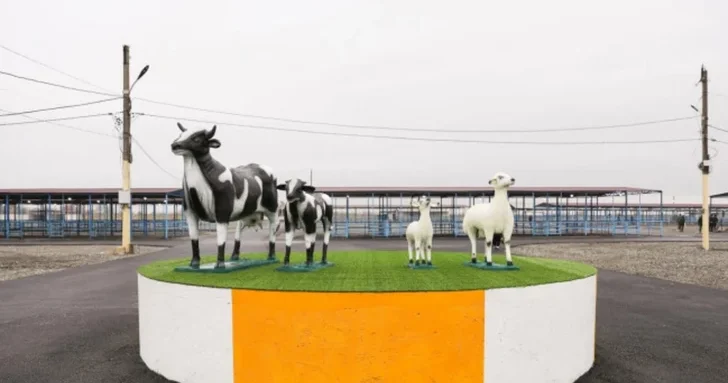 АПБА: Рынок животных в Барде готовится к открытию после модернизации