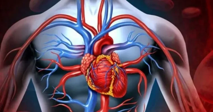 Metabolik pozuntunun gizli zənciri Endokrinoloq AÇIQLADI