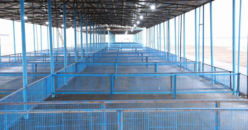 Обновленный Бардинский скотный рынок заработает в ближайшие дни