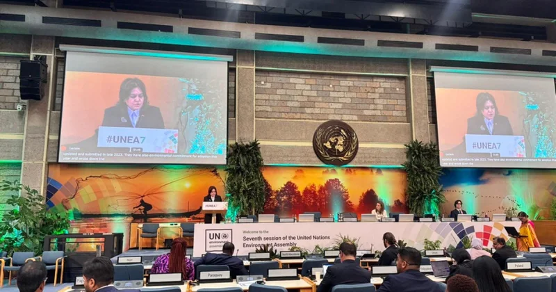 Azərbaycan BMT nin Ətraf Mühit Assambleyasının 7 ci sessiyasında Milli Bəyanatını təqdim edib