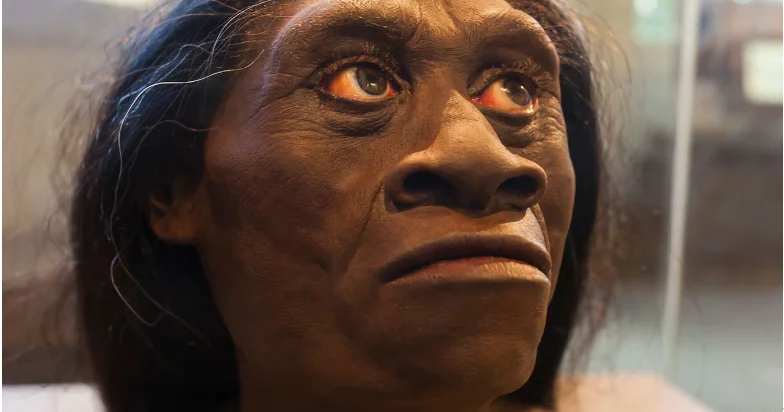 Alimləri heyrətə salan qısaboylu hobbitlər necə yoxa çıxıb?