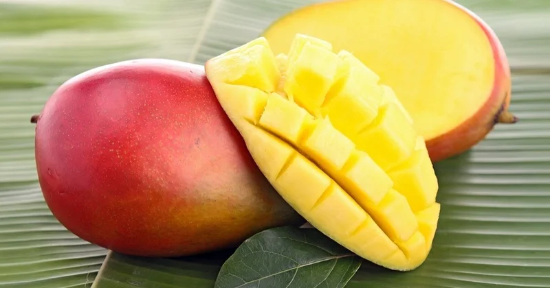 “Meyvələrin kralı” sayılan manqonun 10 faydası