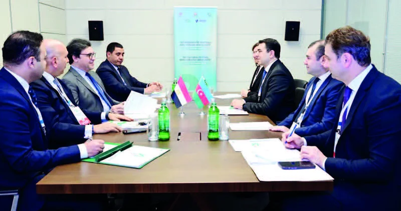 Azərbaycan Misir mədəni əməkdaşlığı xalqlarımızı yaxınlaşdırır