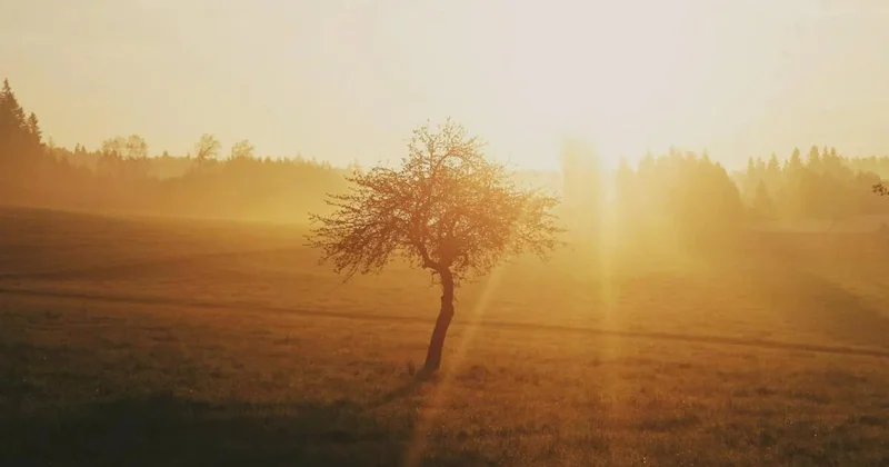 Человечество вошло в коридор самых жарких лет в истории