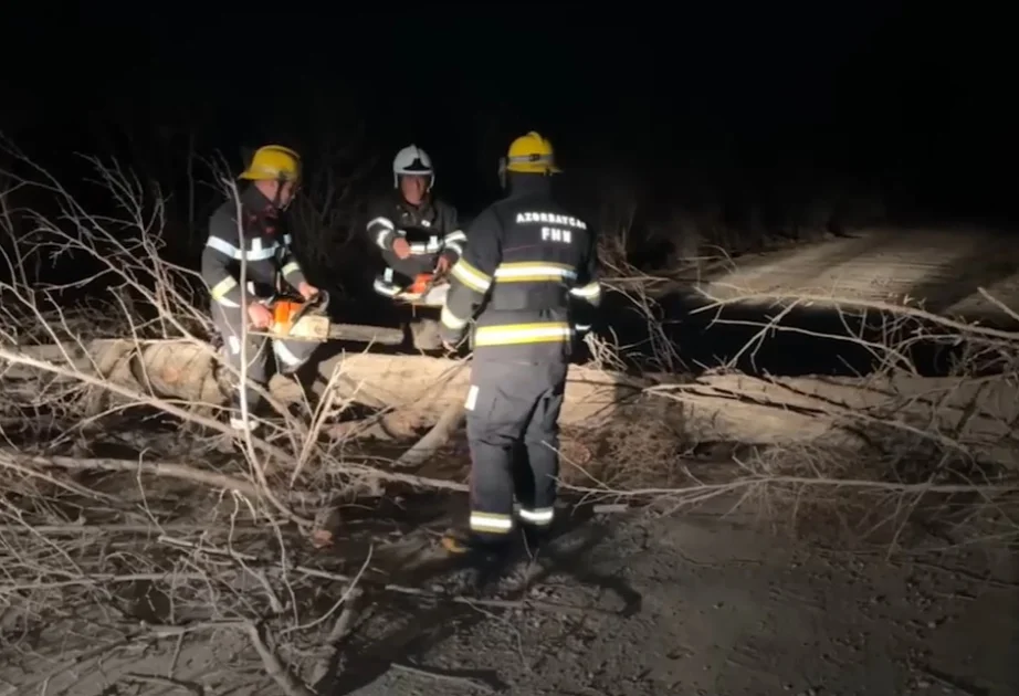 Ağacın aşması nəticəsində bağlanan ZəngilanMincivan magistral yolu FHNin müdaxiləsi ilə açılıb AZƏRTAC