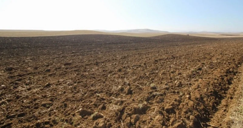 Bələdiyyələrə məxsus torpaq sahələri hərraca çıxarılacaq