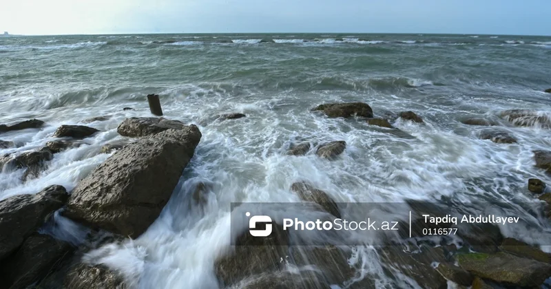 İlham Əliyev: Xəzər dənizinin suyu o qədər də duzlu deyil