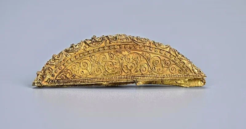 В Китае нашли гробницу эпохи Тан с персидскими монетами