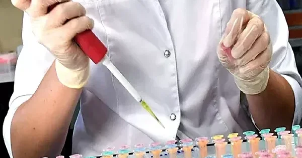 Власти РФ обсуждают генетическое тестирование перед беременностью как часть ОМС