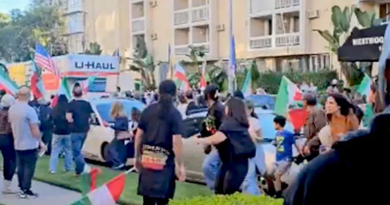 В США грузовик врезался в толпу митингующих в поддержку протестов в Иране