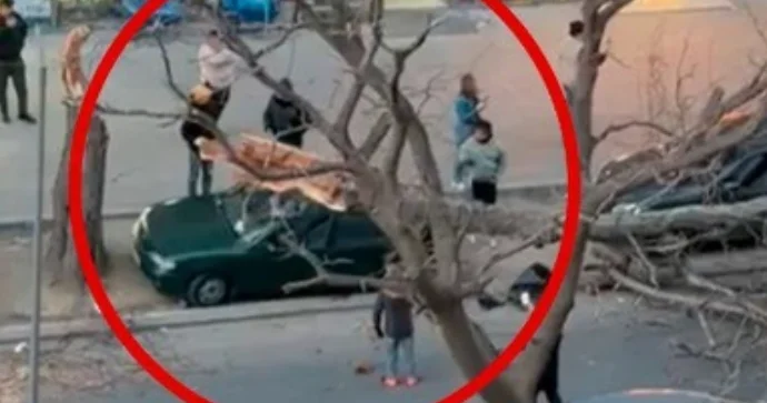 Bakıda quru ağac budağı maşınların üzərinə düşdü VİDEO