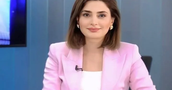 “Solovyovun ritorikası real gücün nümayişi deyil”