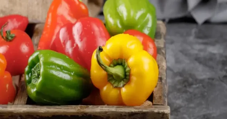 Qırmızı, sarı, yoxsa yaşıl: qışda hansı bibər daha faydalıdır