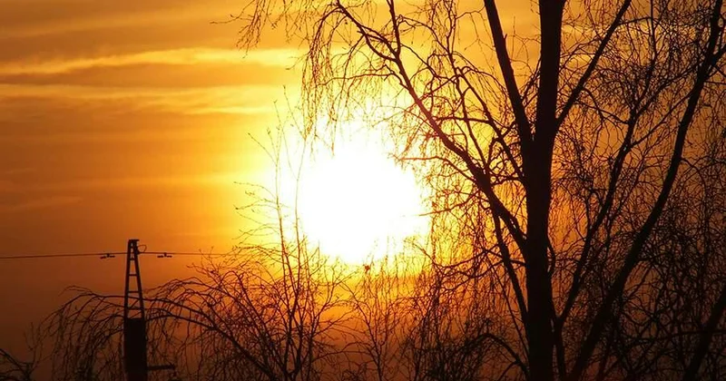 Астроном предупредил о мощных всплесках солнечной активности