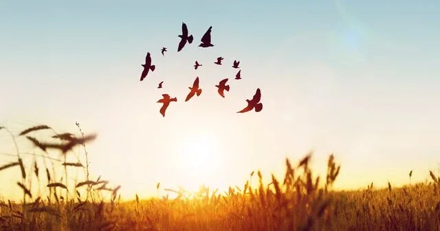 Zehni və mənəvi azadlığın yolu: Bağışlamaqdır