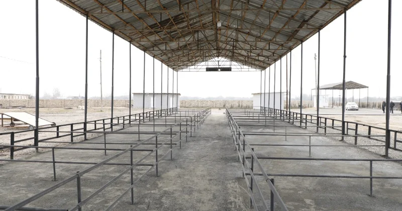 Bu heyvan bazarları da açılışa hazırdır VİDEO