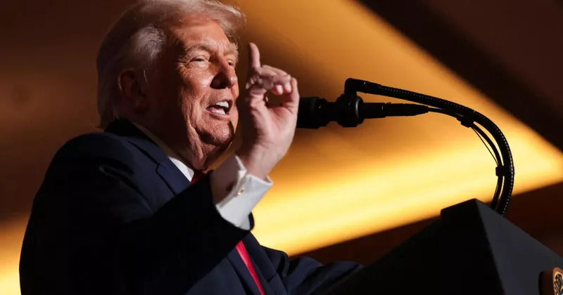 Трамп: Оборона Гренландии состоит из двух собачьих упряжек