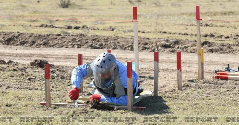 ANAMA: На минувшей неделе от мин очищена территория площадью более 875 га
