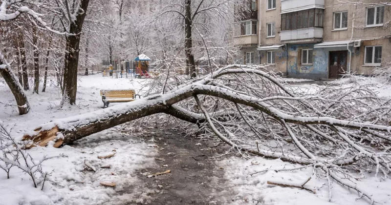 В Казахстане погиб школьник: ПОДРОБНОСТИ