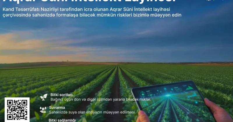 Kənd təsərrüfatında Süni İntellekt layihəsi Fermerlərin işi asanlaşacaq