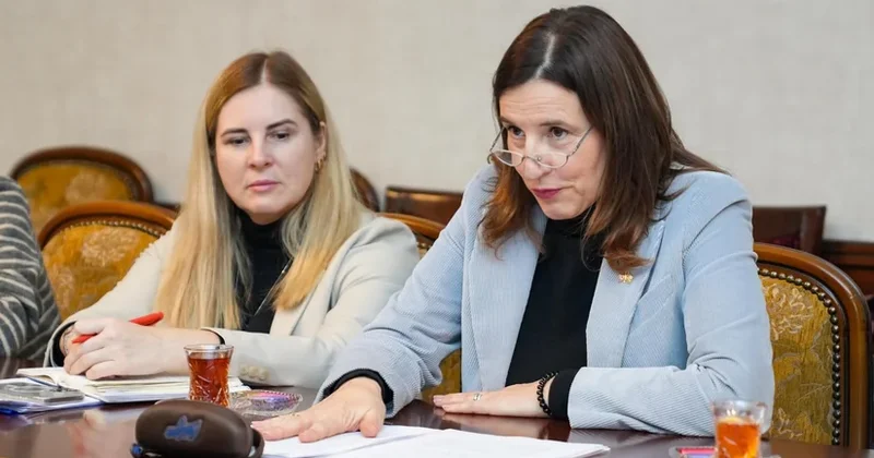 Aİ nin Azərbaycandakı səfiri: Naxçıvan Orta Dəhliz üzrə mühüm strateji bölgədir