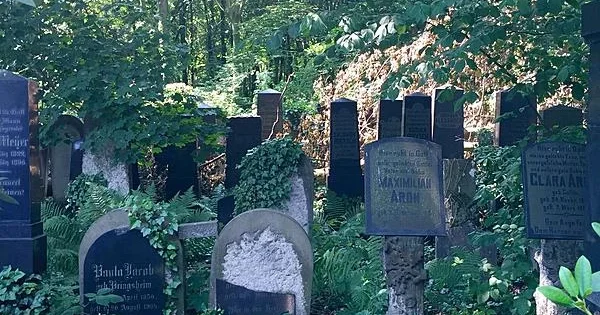 Суд вынес приговор работнику кладбища, похищавший золотые зубы у покойников