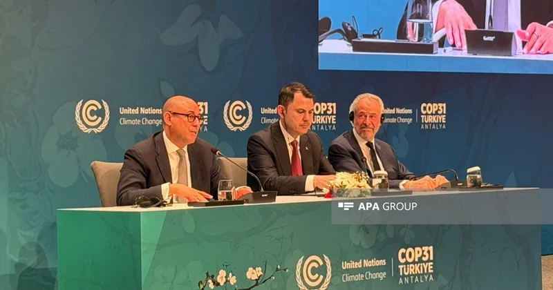 Saymon Stil: COP29 Bakıda çox mühüm qərarların qəbul edilməsi ilə yadda qaldı