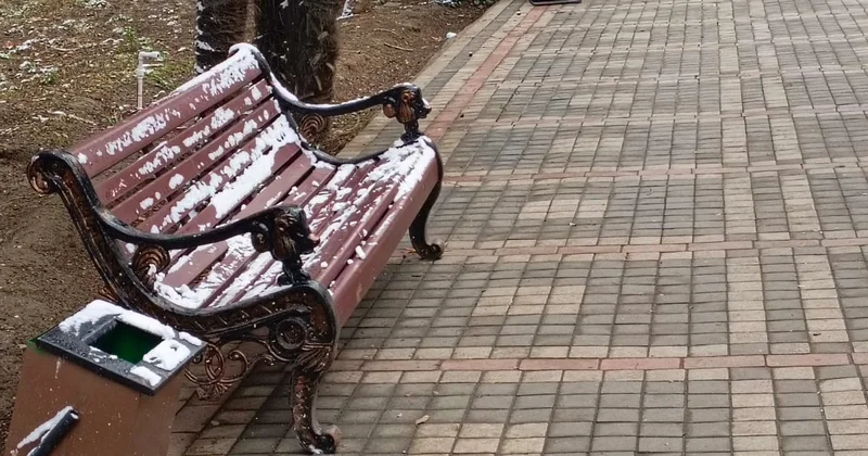Штраф есть, а урн нет,