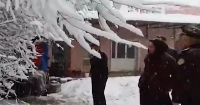 Güclü qar ağacı mağazanın üzərinə aşırdı Yaşlı qadın...