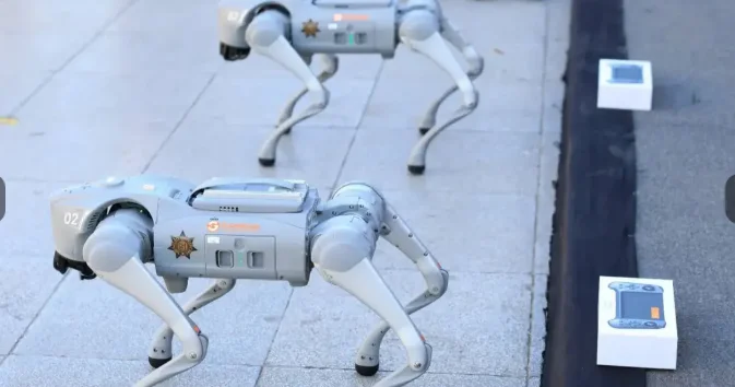 Futbol üzrə dünya çempionatında robot itlərdən istifadə ediləcək