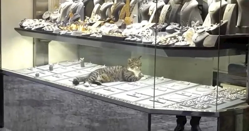 Hər gün qızılların üstündə yatır