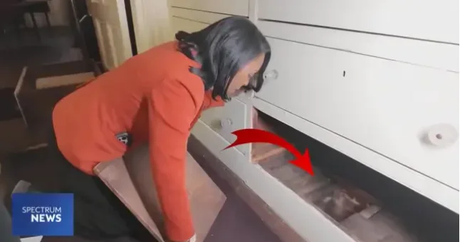 Evdəki şkafın altında tarixi gizli keçid tapıldı FOTO