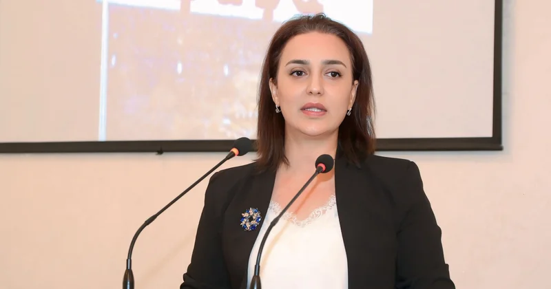 ABŞ Vitse prezidentinin Azərbaycana səfəri strateji tərəfdaşlığın göstəricisidir