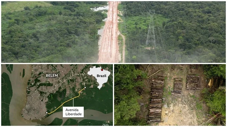 Амазонские леса вырубают ради климатического саммита COP30 в Бразилии