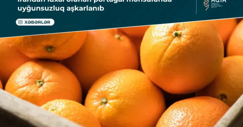 İrandan Azərbaycana gətirilən 21 tondan çox portağalda rəngləyici maddə aşkarlanıb