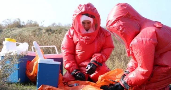 Агентство продовольственной безопасности объявило о новом этапе мониторинга птичьего гриппа