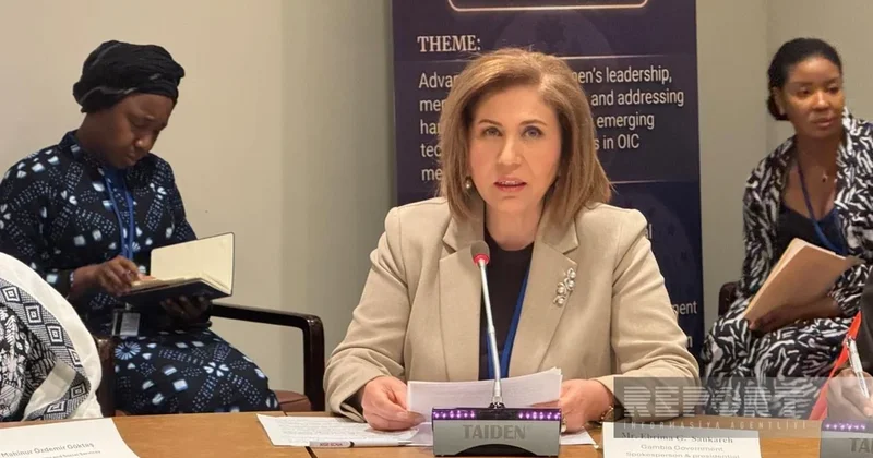 В ООН представлены достижения Азербайджана в сферах защиты прав женщин и цифровизации