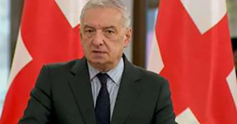 Giorgi Volski: Bəzi diplomatik nümayəndəliklər Gürcüstanda toqquşma ssenarisi hazırlayırlar