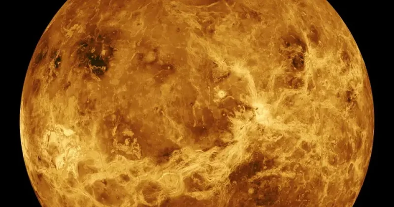 NASA Veneranın qabığının sürpriz cəhətini ortaya çıxarıb