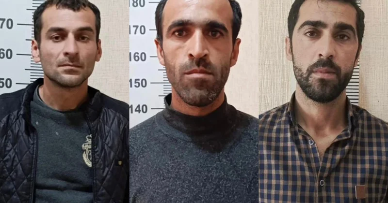 Zərdabda 12 000 manat dəyərində naqilləri oğurlayan şəxslər saxlanılıblar