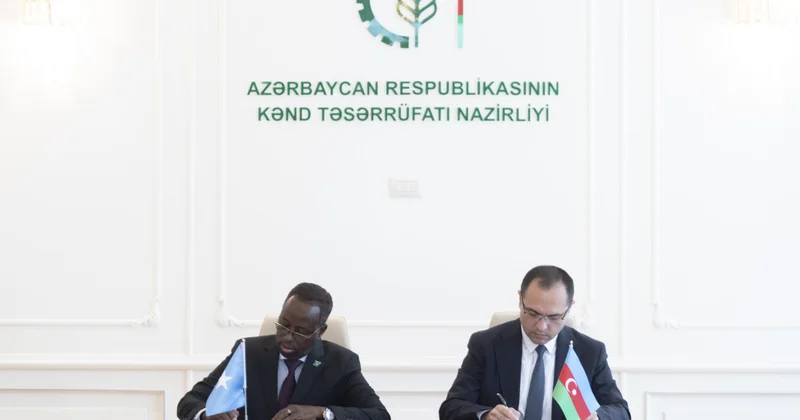 Azərbaycan və Somali arasında memorandum imzalanıb FOTOLAR