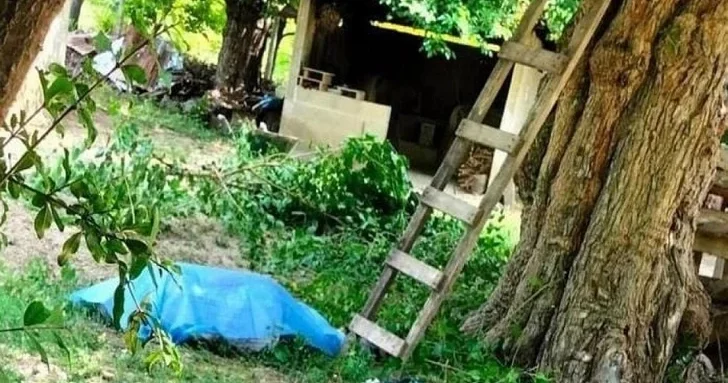 В Гёйчае погиб 50 летний мужчина, упав с дерева