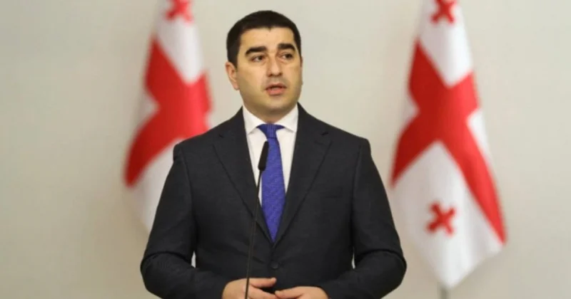 Parlamentin sədri: Gürcüstan Brüssel münasibətləri regionda formalaşmış siyasi mühitin girovudur