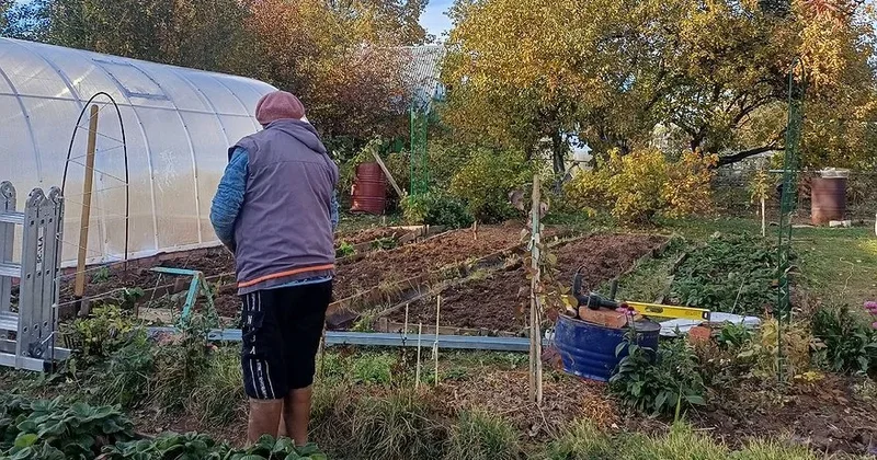 Mayın 15 dən torpaqlar müsadirə olunacaq Bu sənədlər tələb OLUNUR