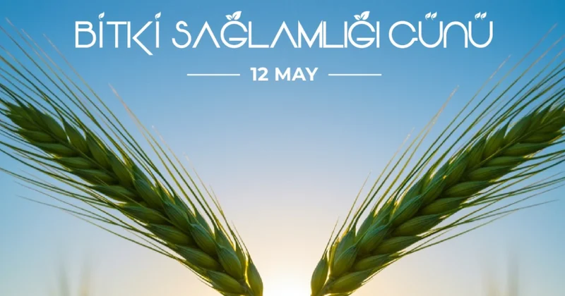 Mayın 12 si Beynəlxalq Bitki Sağlamlığı Günüdür