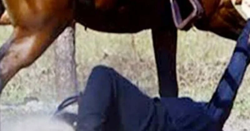 Cəlilabad sakini atdan yıxılıb ÖLDÜ