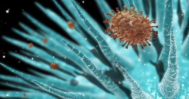 50 min illik virus oyanır Təhlükə