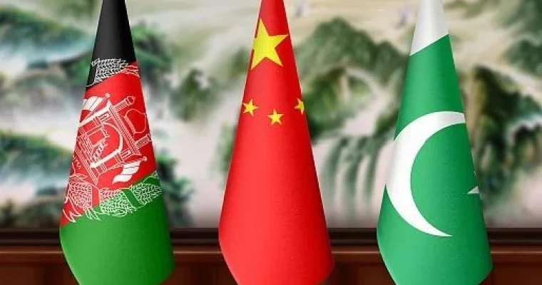 Əfqanıstan, Pakistan və Çin nümayəndələri xüsusi iqtisadi zonaların yaradılmasını müzakirə ediblər