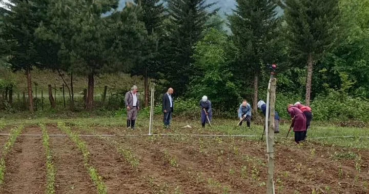 Meşələr qorunur və zənginləşir Təbiət və biz